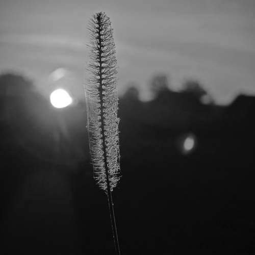 Photo #11913650