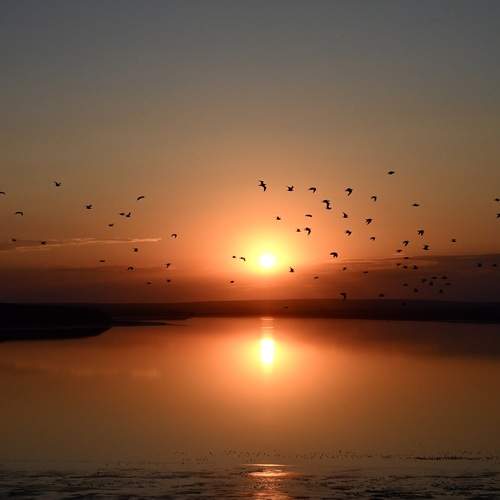 Photo #11913929