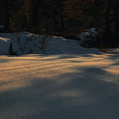 Photo #11914064