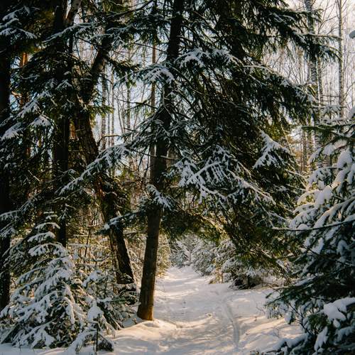 Photo #11914088