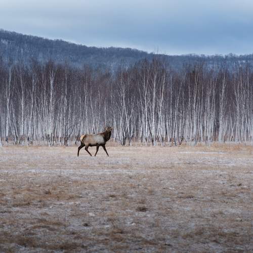 Фотография #11914108