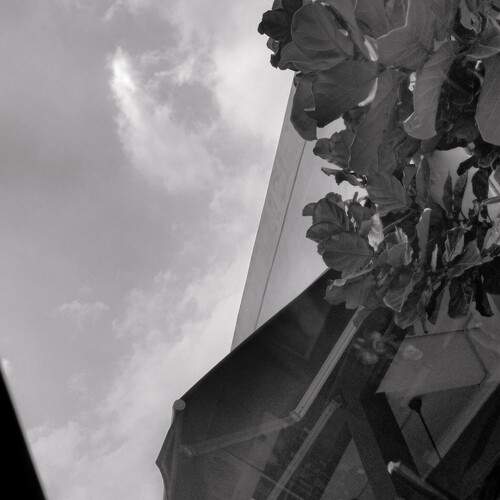 Skyward Perspectives