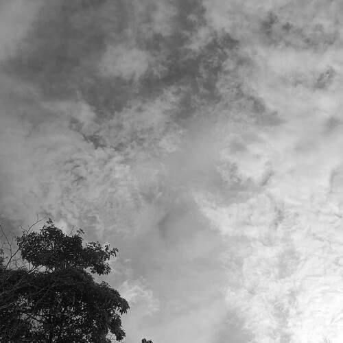 Nature and Signals
