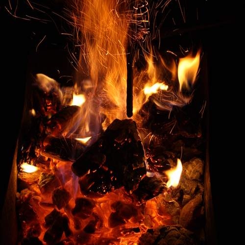 Photo #11914327