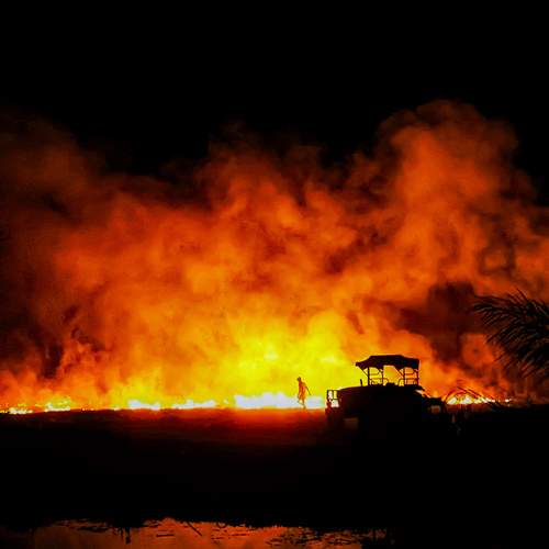 Photo #11914361