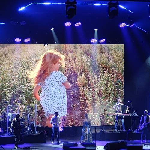 Photo #11914443