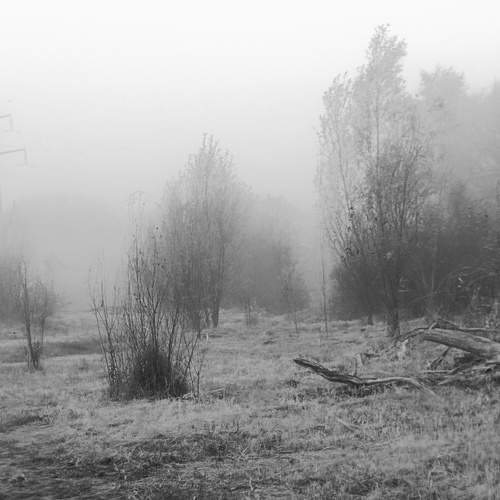 Photo #11914498