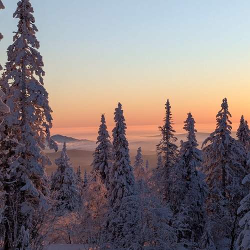 Photo #11914609