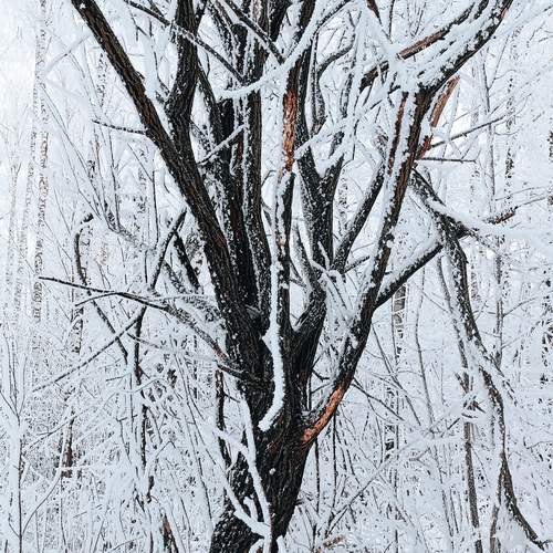 Photo #11914990