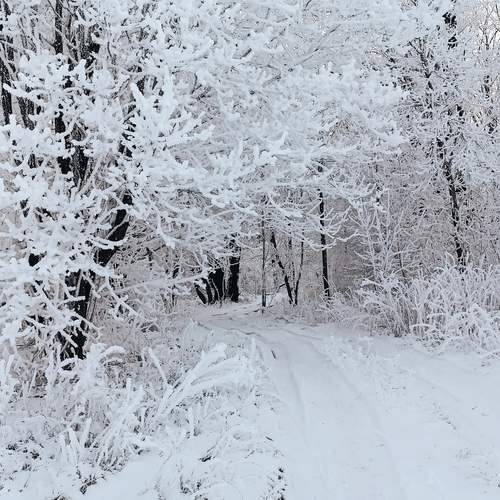 Photo #11915083