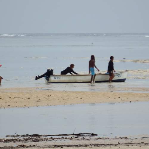 Photo #11915113