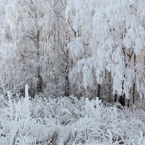 Photo #11915203