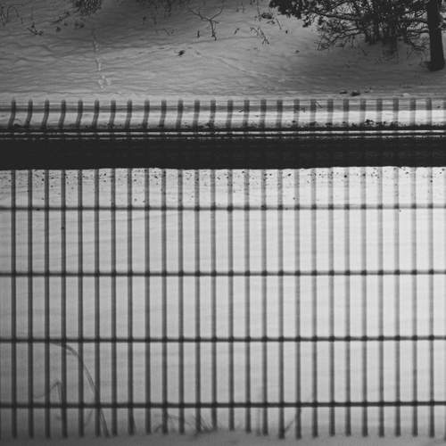 Фотография #11915225