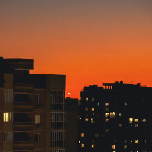 Photo #11915275