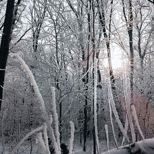 Photo #11915284