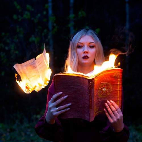 Photo #11915309
