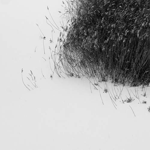 Photo #11915338