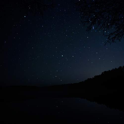 Фотография #11915432