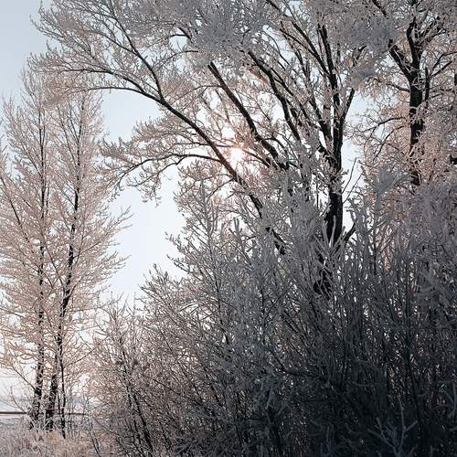 Photo #11915604