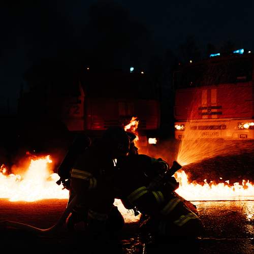 Photo #11915737