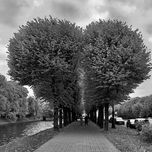Photo #11915810