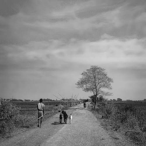 Photo #11915970