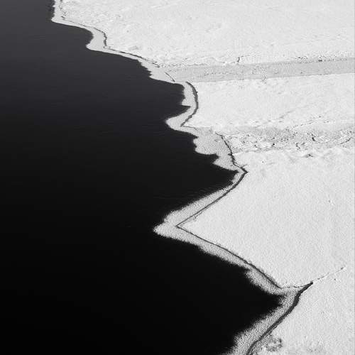Photo #11915971