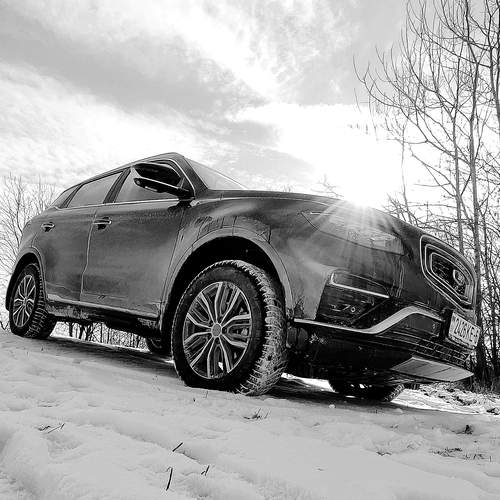 Photo #11916077