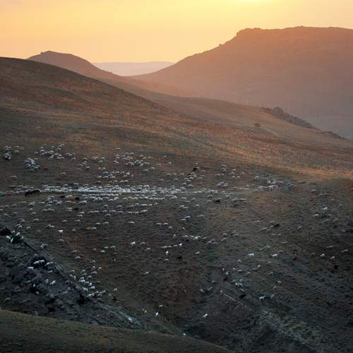 Фотография #11916274