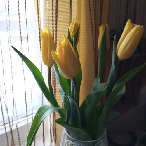 Photo #11916301