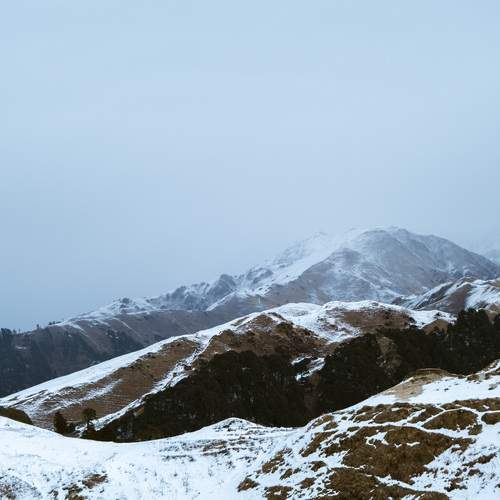 Photo #11916529