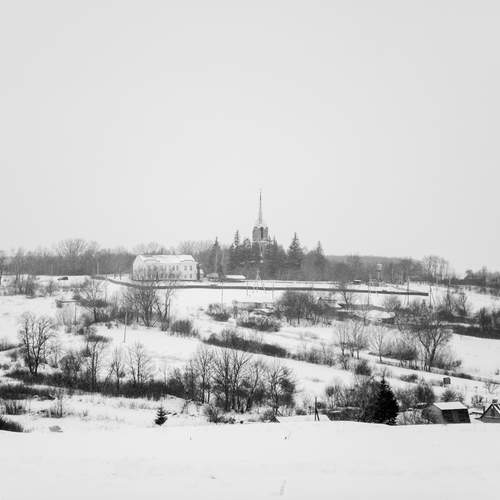 Photo #11916575