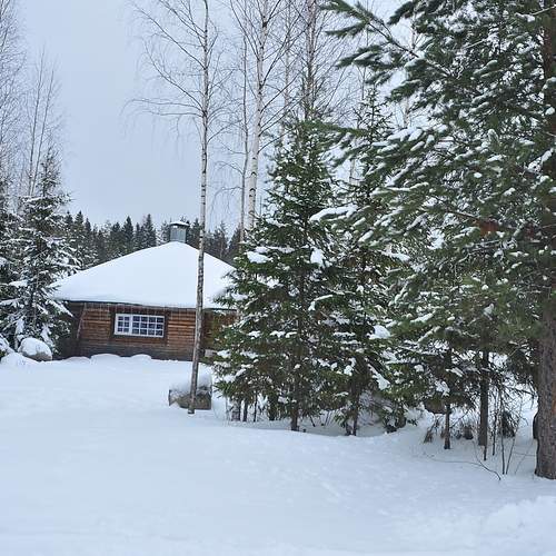Photo #11916593