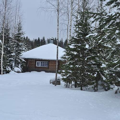 Photo #11916594