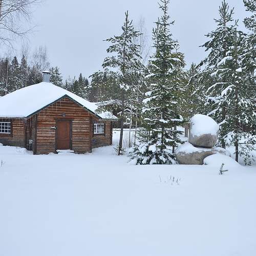 Photo #11916595