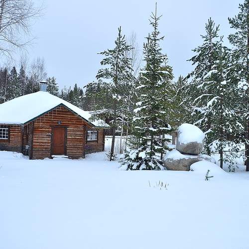 Photo #11916600