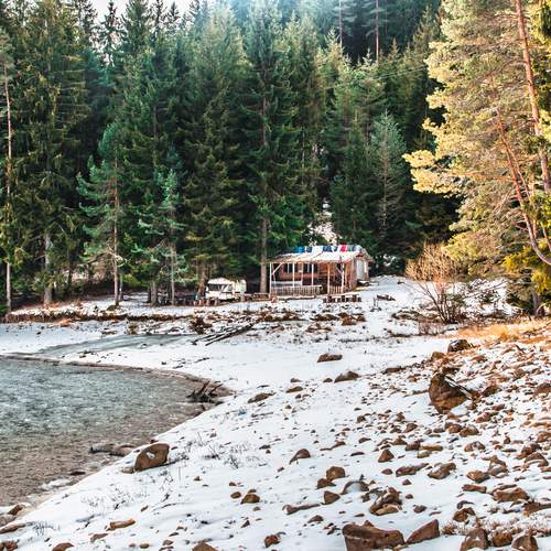 Photo #11916698