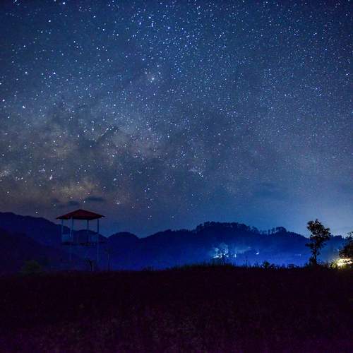 Photo #11916898