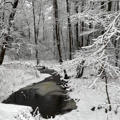 Photo #11916919