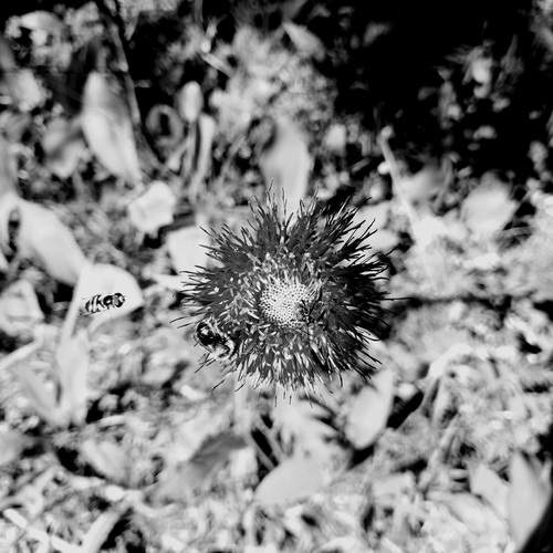 Photo #11916928
