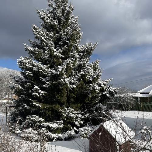 Photo #11916937