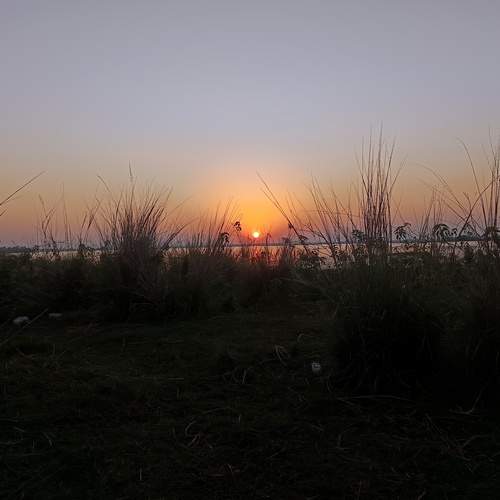 Photo #11916973