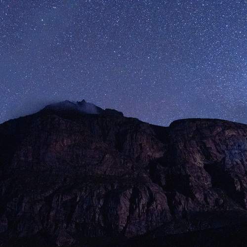 Photo #11917048