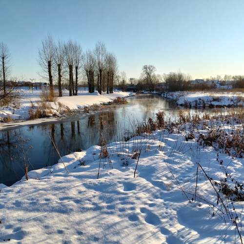 Photo #11917103