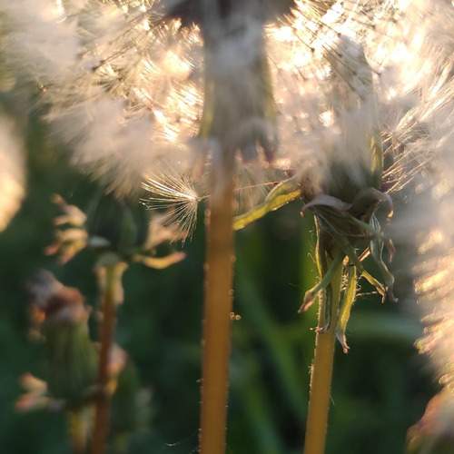 Photo #11917105