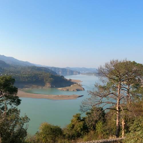 Photo #11917306
