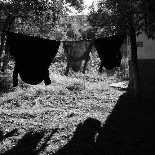 Photo #11917392