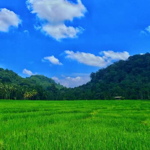 Photo #11917428
