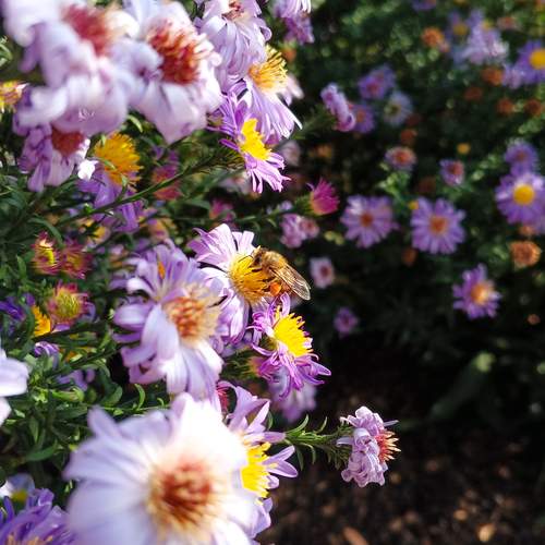 Photo #11917443