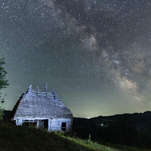 Фотография #11917465